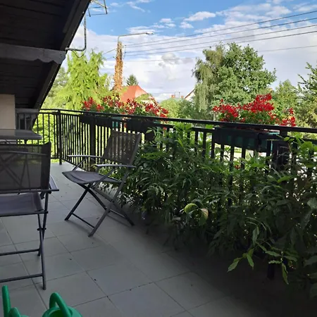 Sloneczna - Magdalena I Michal Zelewscy * Karwienskie Bloto